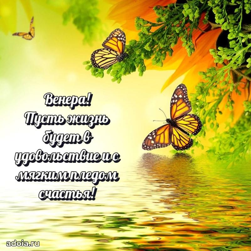 Мерцающая картинка Венере с днем рождения