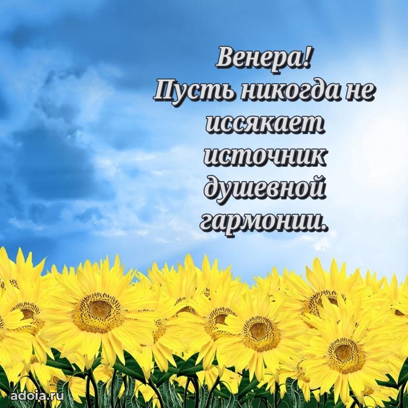 Поздравление с днем рождения женщине в стихах