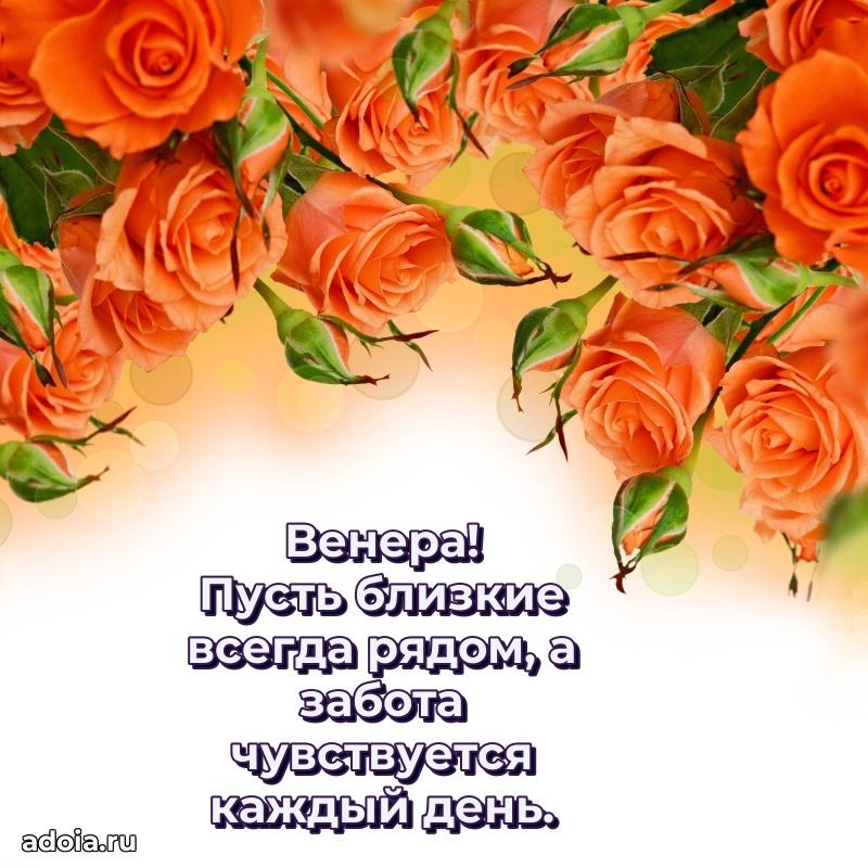 Картинка бабушке Венере