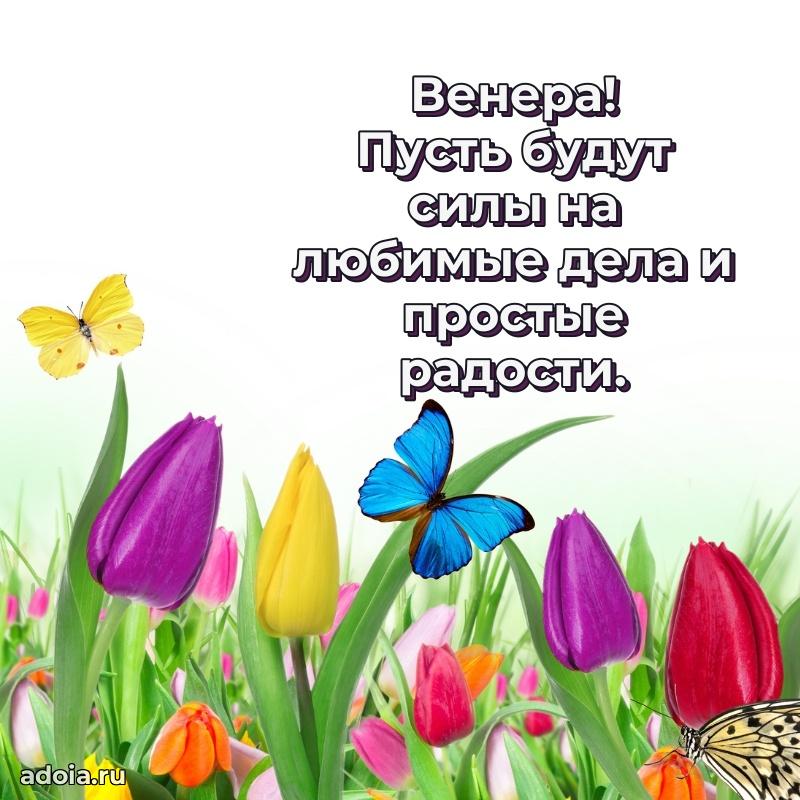 Мерцающая картинка маме Венере с днем рождения