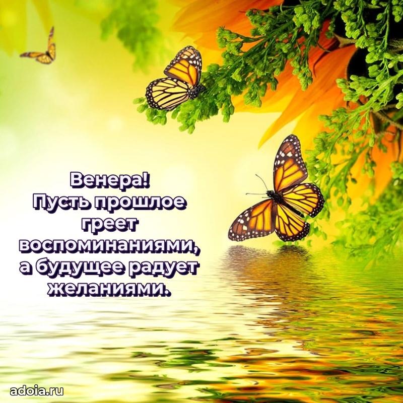 Бесплатная открытка тете