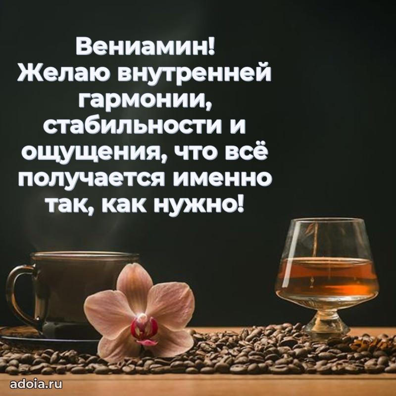 Открытка с пожеланиями Вениамину для ватсапа