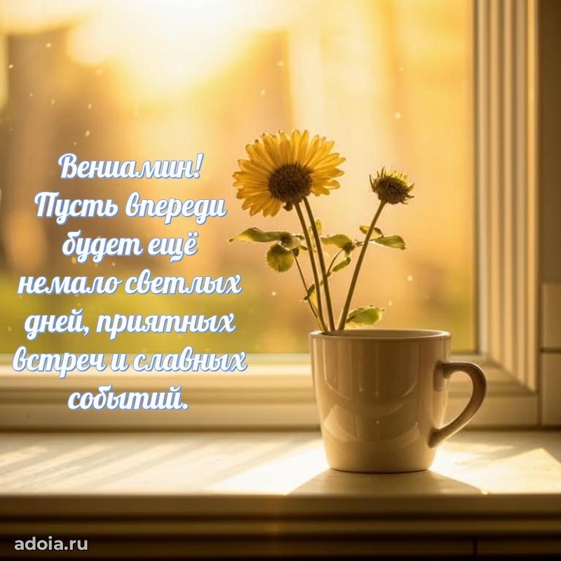 Поздравить друга с др Вениамину