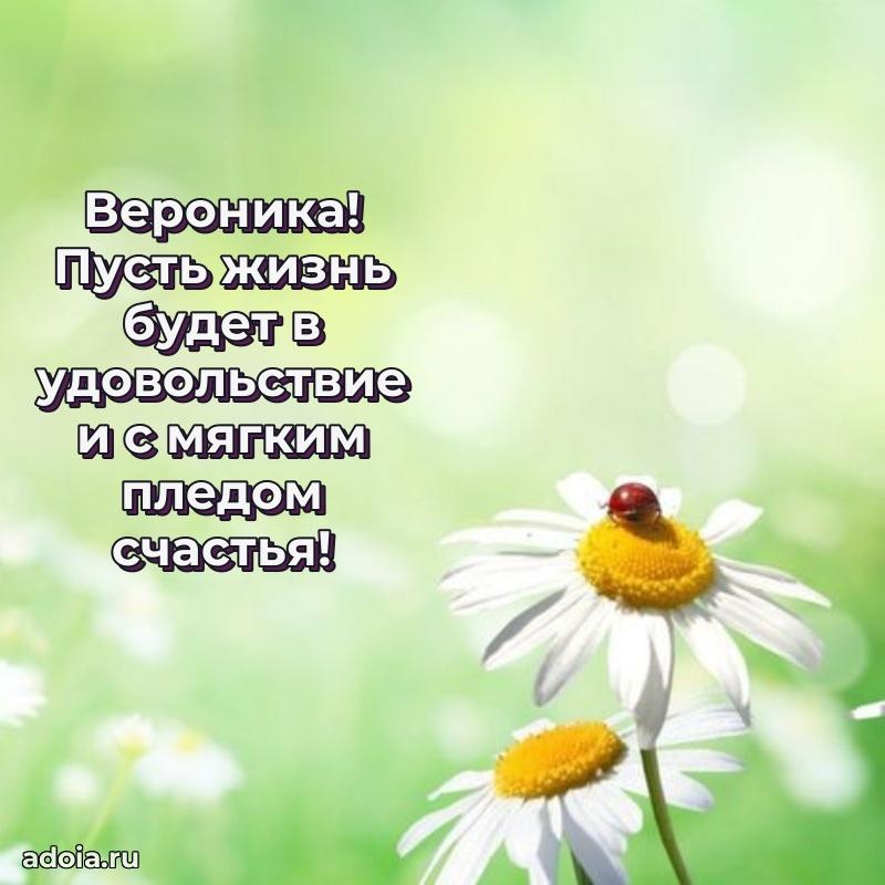 Открытка с пожеланиями Веронике для ватсапа