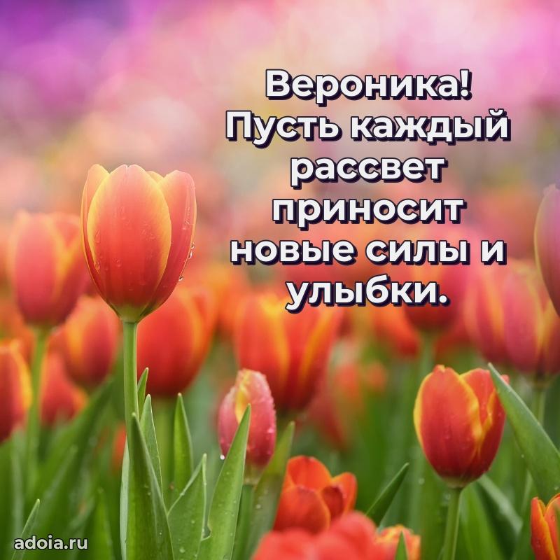 Открытка Веронике праздничная