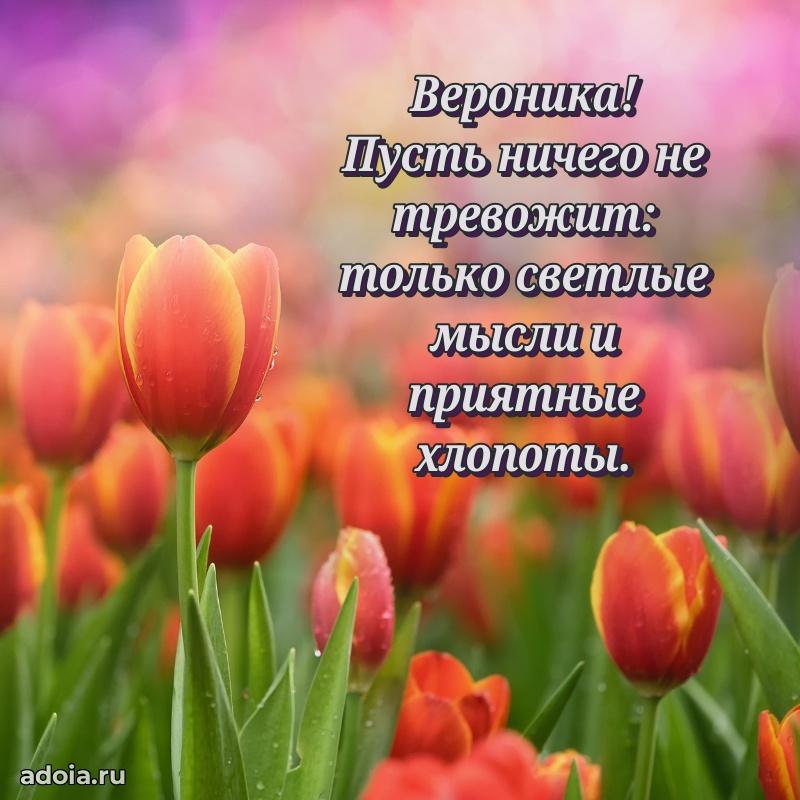 Открытка с пожеланиями Веронике для ватсапа