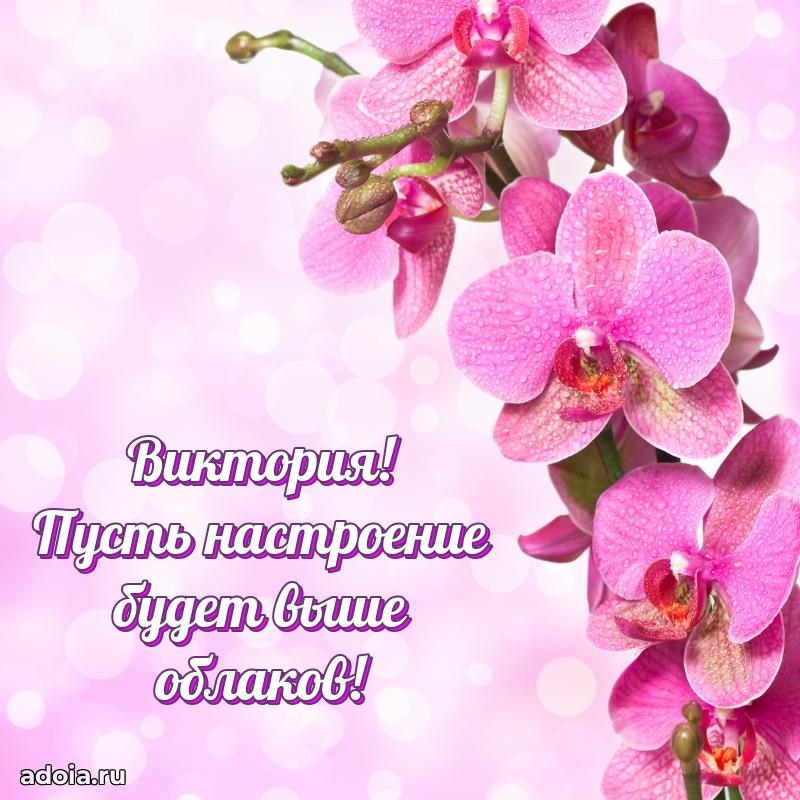 Современная открытка супруге