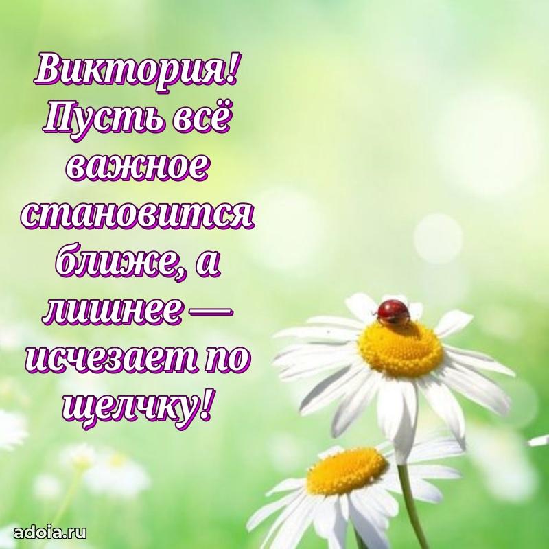 Новые открытки с днем рождения праздничные Виктории