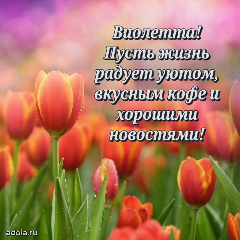 Мерцающая картинка Виолетте с днем рождения