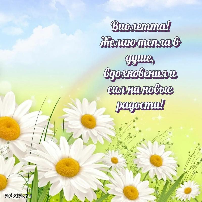 Яркая гифка Виолетте с днем рождения