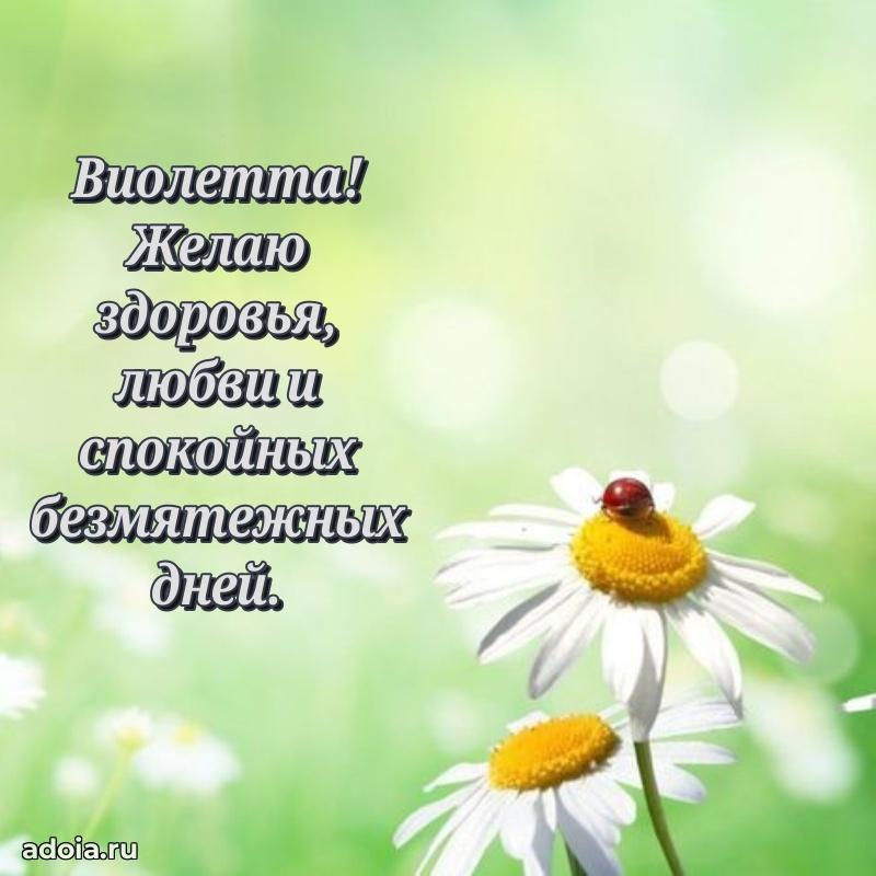 Открытка Виолетте праздничная