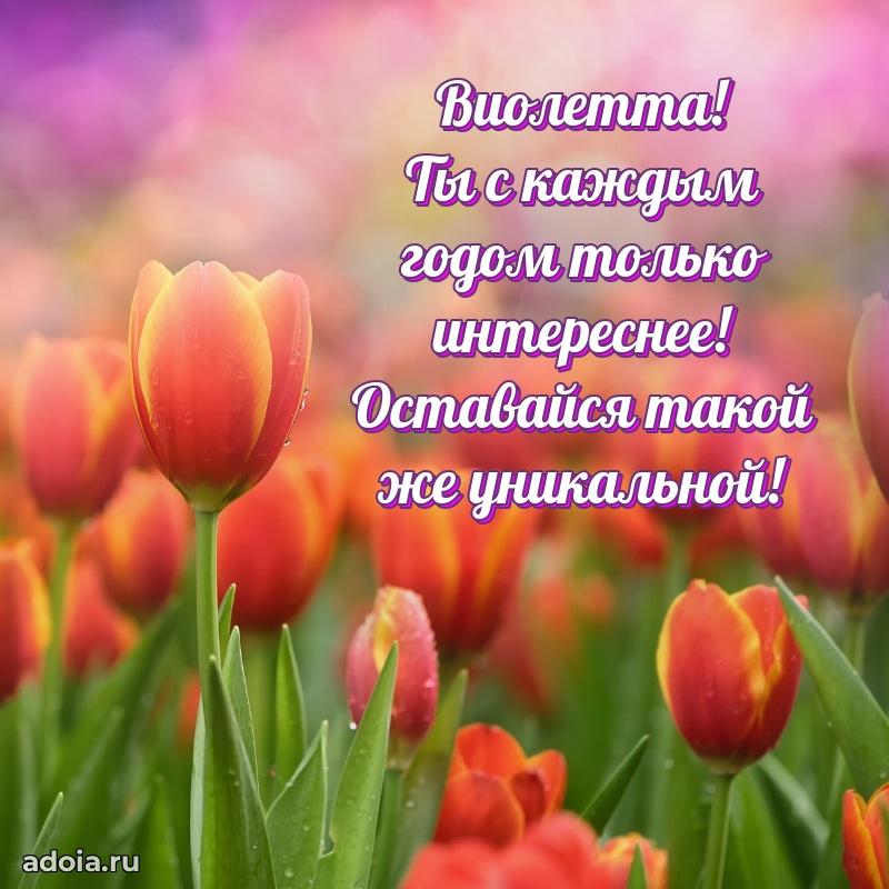 Картинка дочери Виолетте