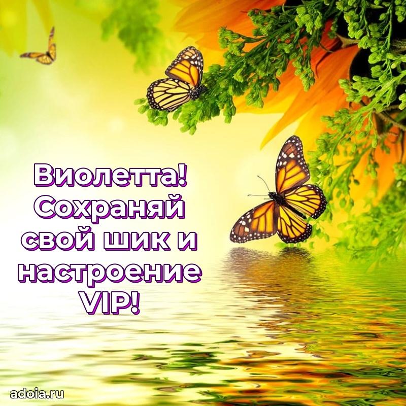 Поздравление Виолетте праздничные своими словами в прозе