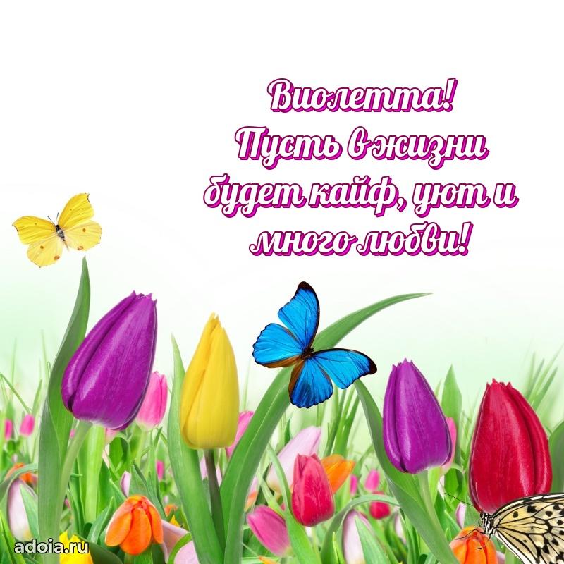 Поздравить подругу с др Виолетте