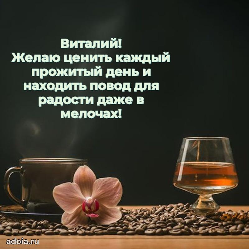 Поздравление Виталию праздничные своими словами