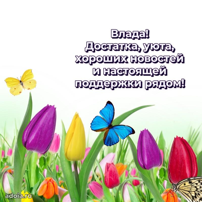 Поздравление Владе праздничные своими словами в прозе