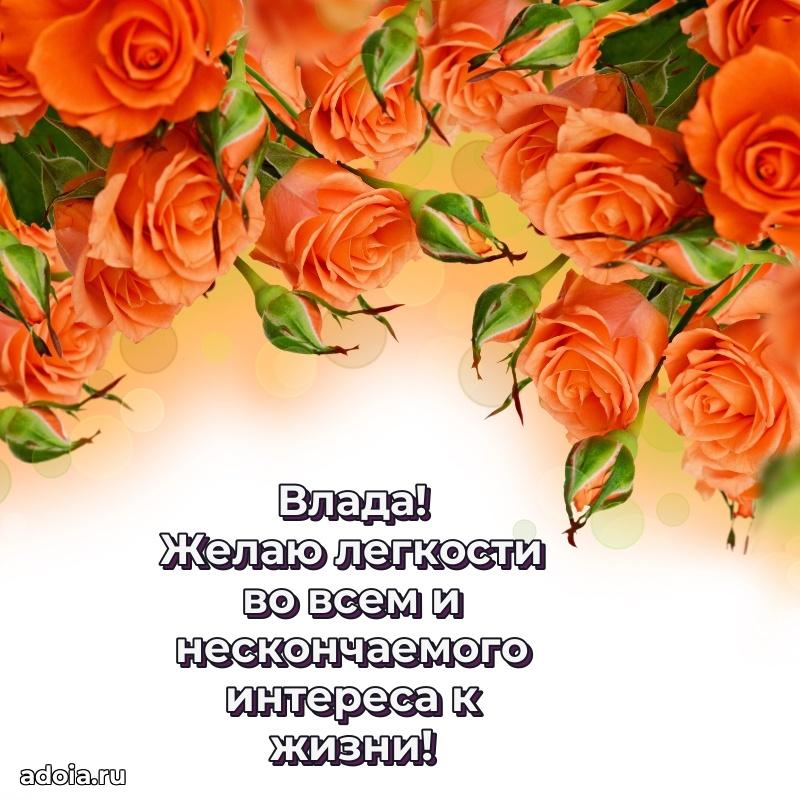 Смешная открытка для ватсап с днем рождения Владе