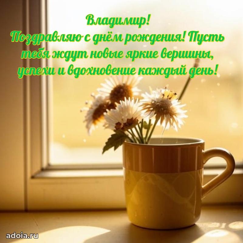 Поздравление племяннику Владимиру праздничные своими словами