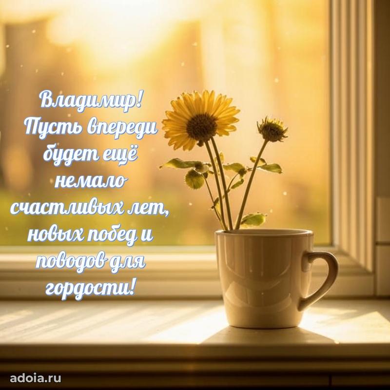 Мерцающая картинка сыну Владимиру с днем рождения