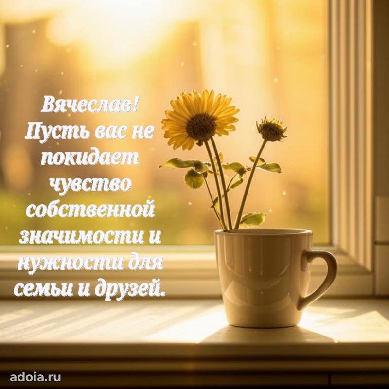 Поздравление мужчине Вячеславу