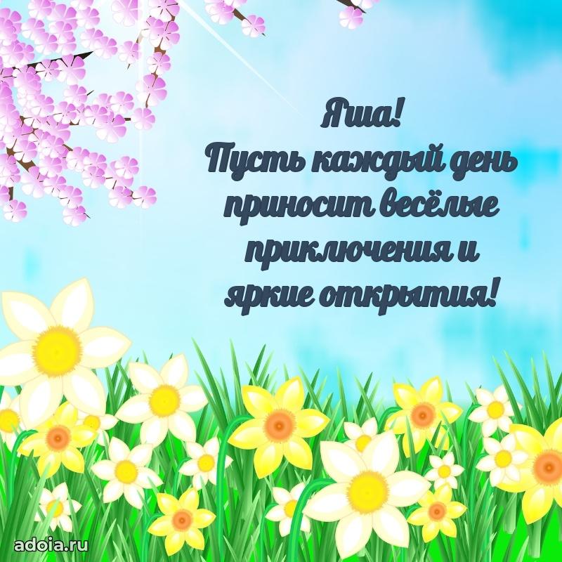 Яркая гифка Якову с днем рождения