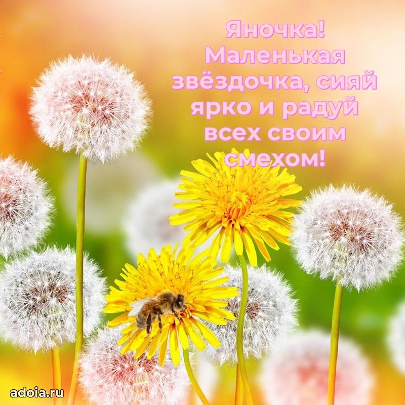 Поздравить племянницу с др Яне