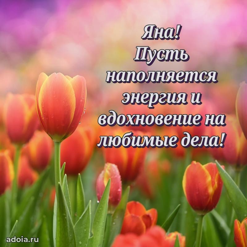 Яркая гифка Яне с днем рождения