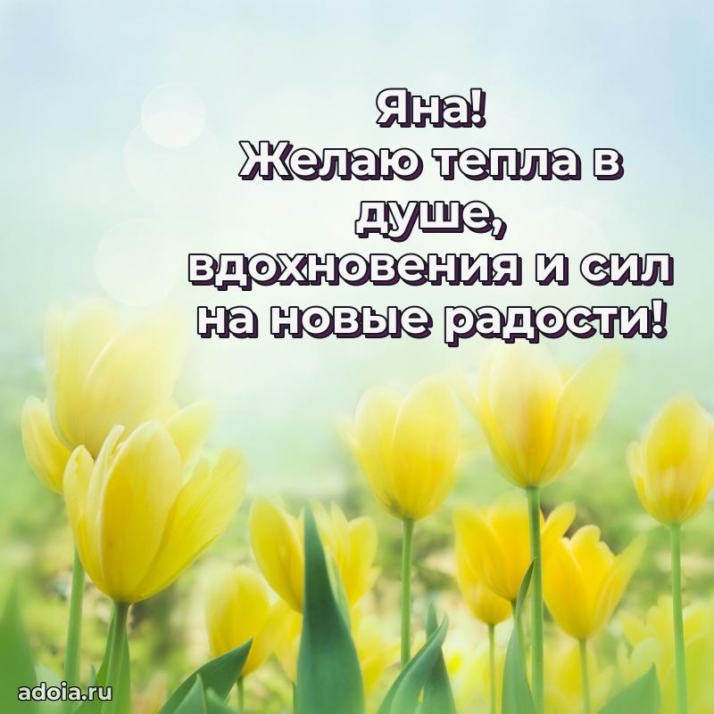 Открытка для ватсап с днем рождения Яне