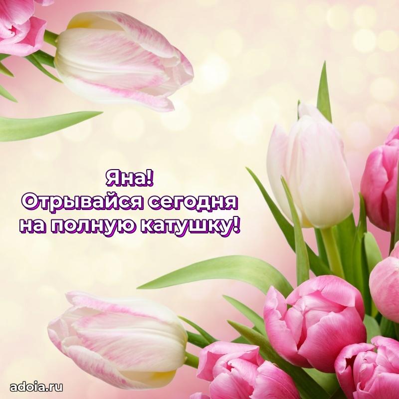 Смешная открытка для ватсап с днем рождения Яне