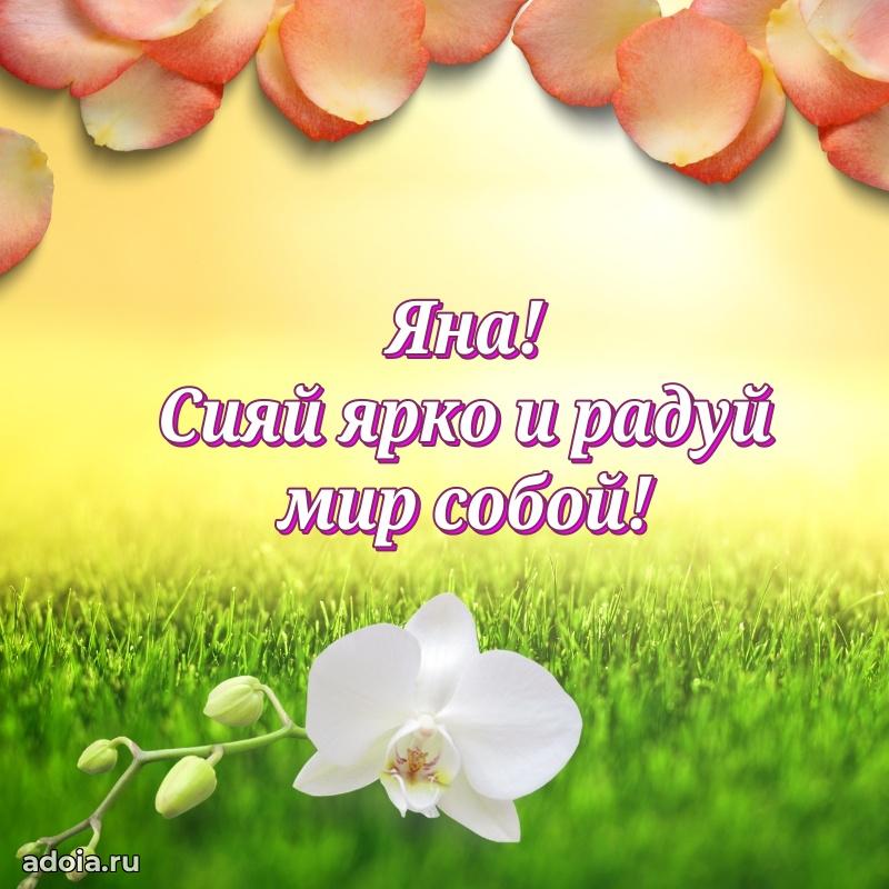 Поздравить подругу с др Яне