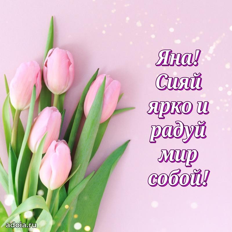 Смешная открытка для ватсап с днем рождения Яне