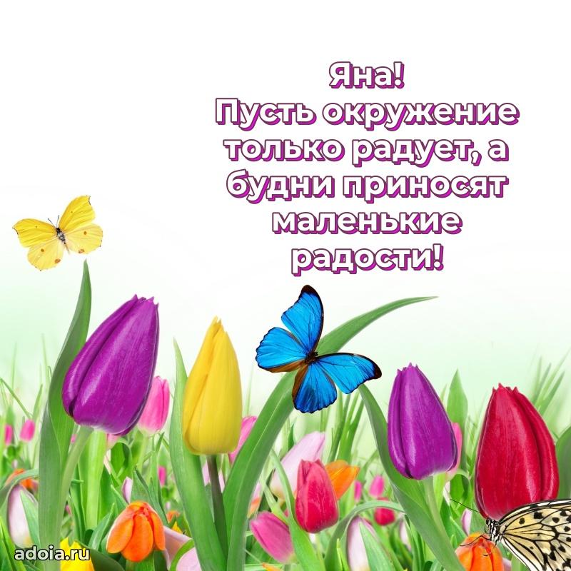 Новые открытки с днем рождения праздничные Яне