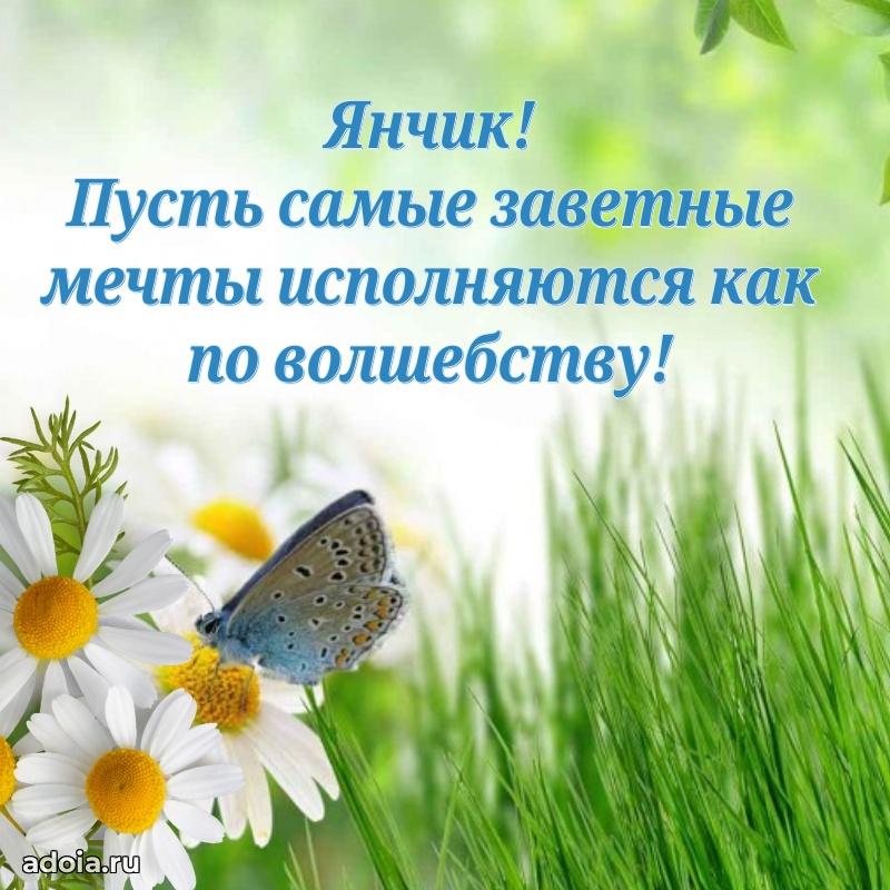 Поздравить племянника с др Яну