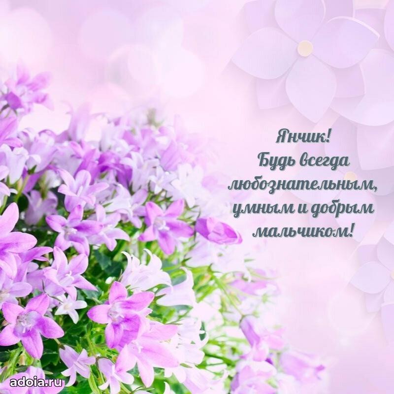 Поздравить племянника с др Яну