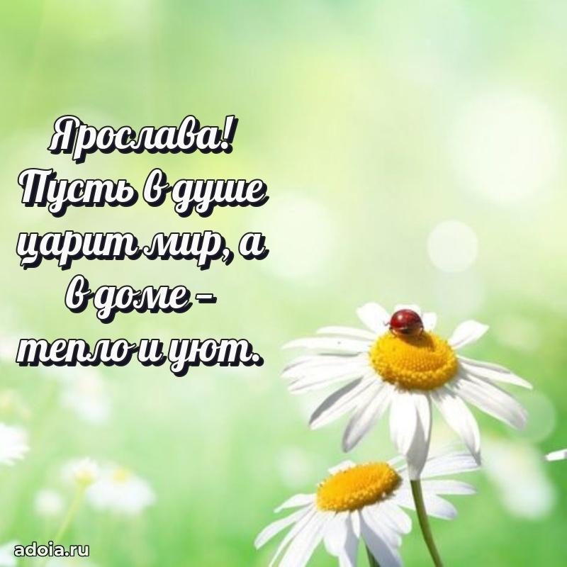 Мерцающая картинка маме Ярославе с днем рождения