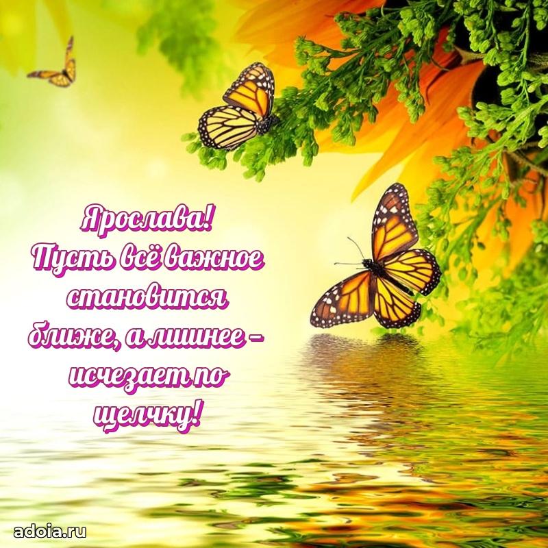 Мерцающая картинка Ярославе с днем рождения