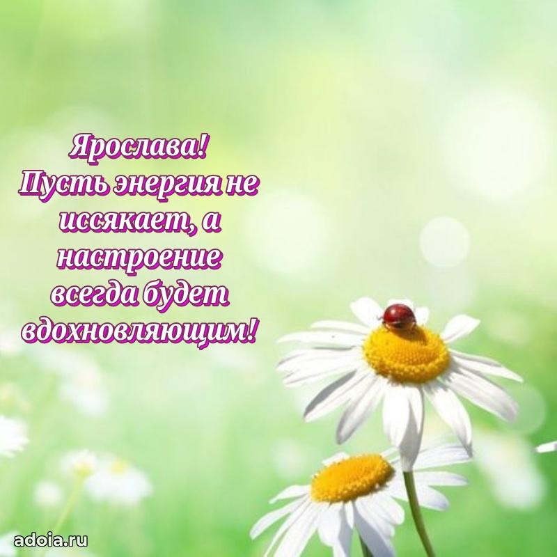 Картинка дочери Ярославе