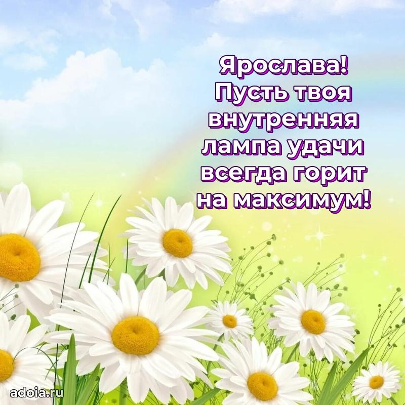 Смешная открытка для ватсап с днем рождения Ярославе