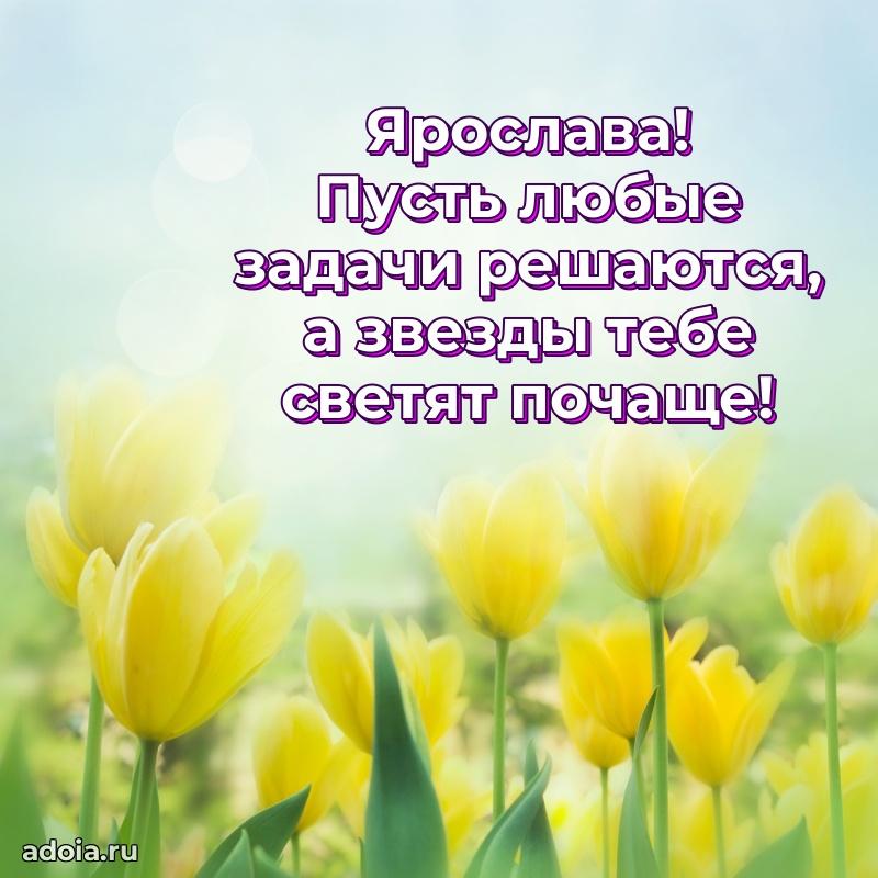 Новые открытки с днем рождения праздничные Ярославе