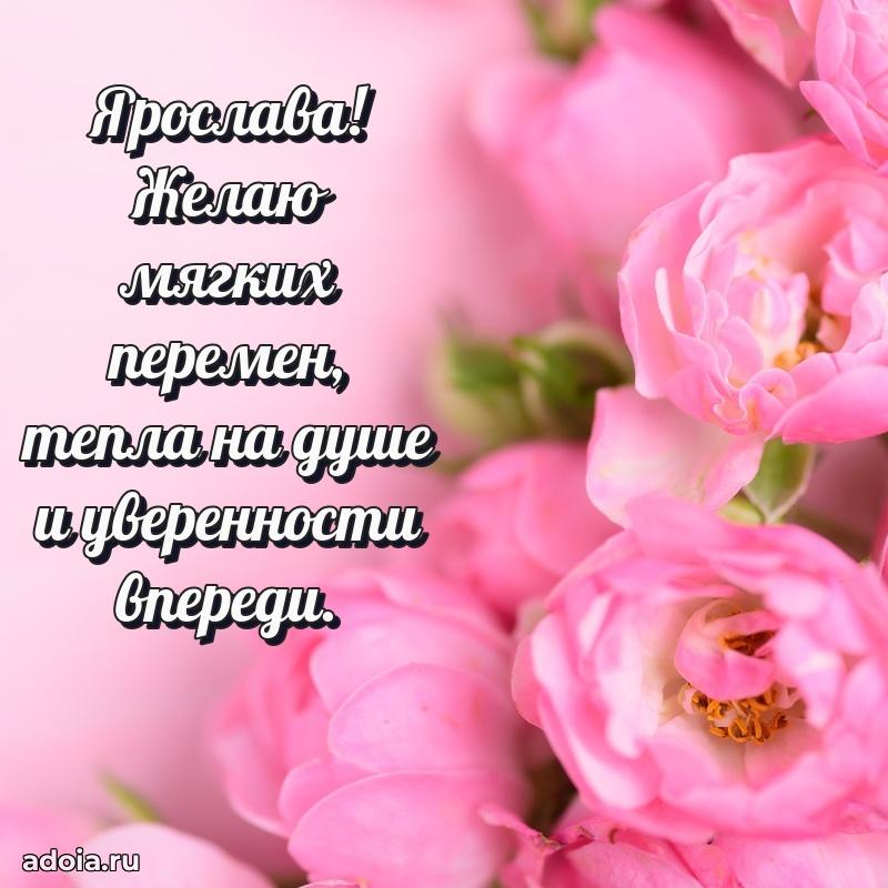 Яркая гифка Ярославе с днем рождения