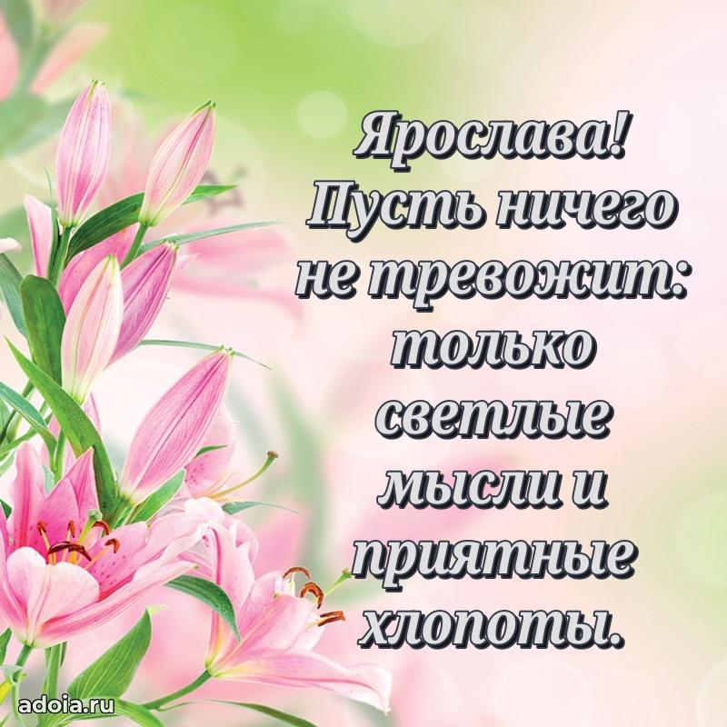 Смешная открытка для ватсап с днем рождения Ярославе