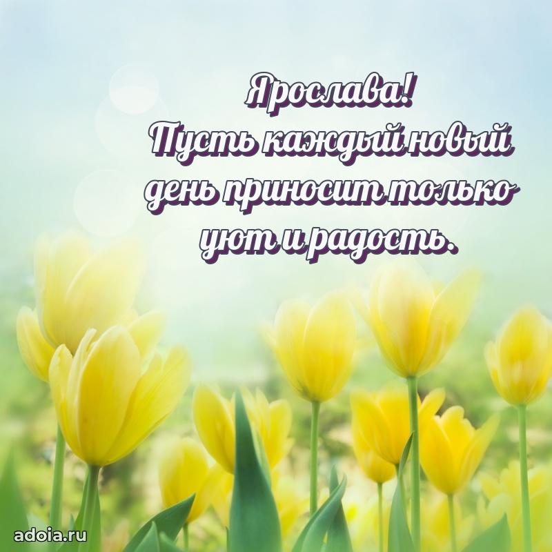 Поздравление с днем рождения сестре в стихах