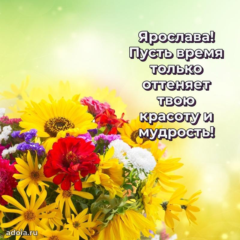 Смешная открытка для ватсап с днем рождения Ярославе