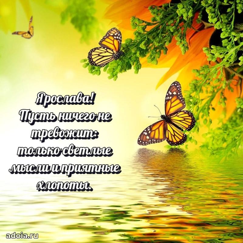Поздравление Ярославе праздничные своими словами в прозе