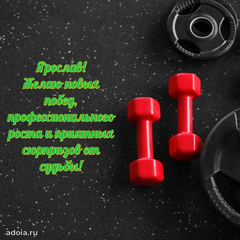 Поздравить друга с др Ярославу