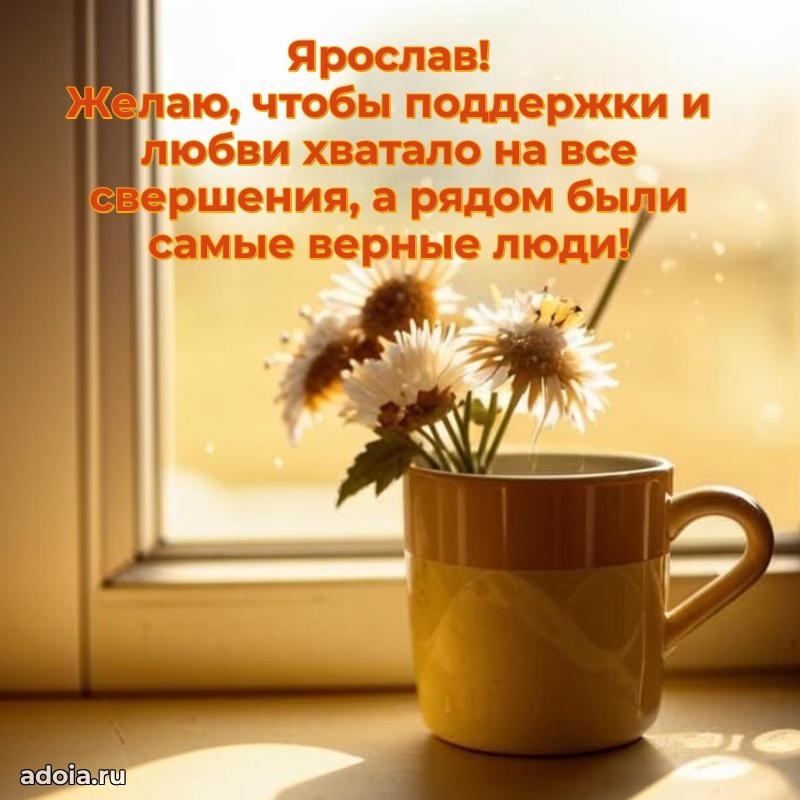 Поздравление парню Ярославу