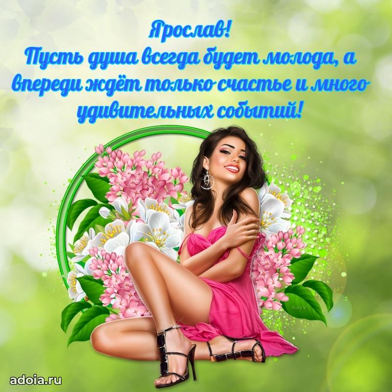 Открытка для ватсап с днем рождения Ярославу