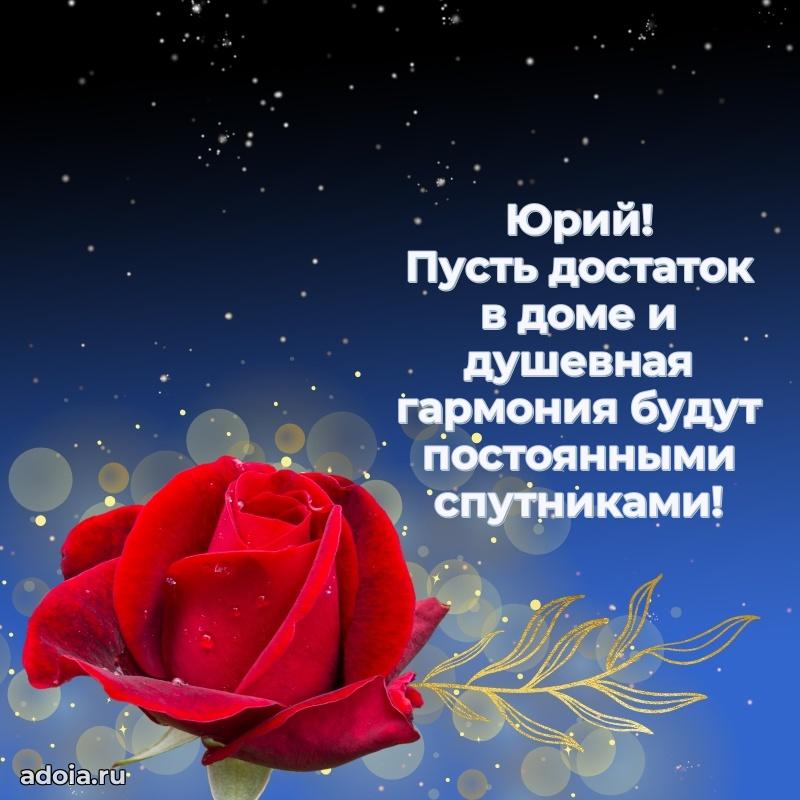 Поздравление с днем рождения мужчине в прозе