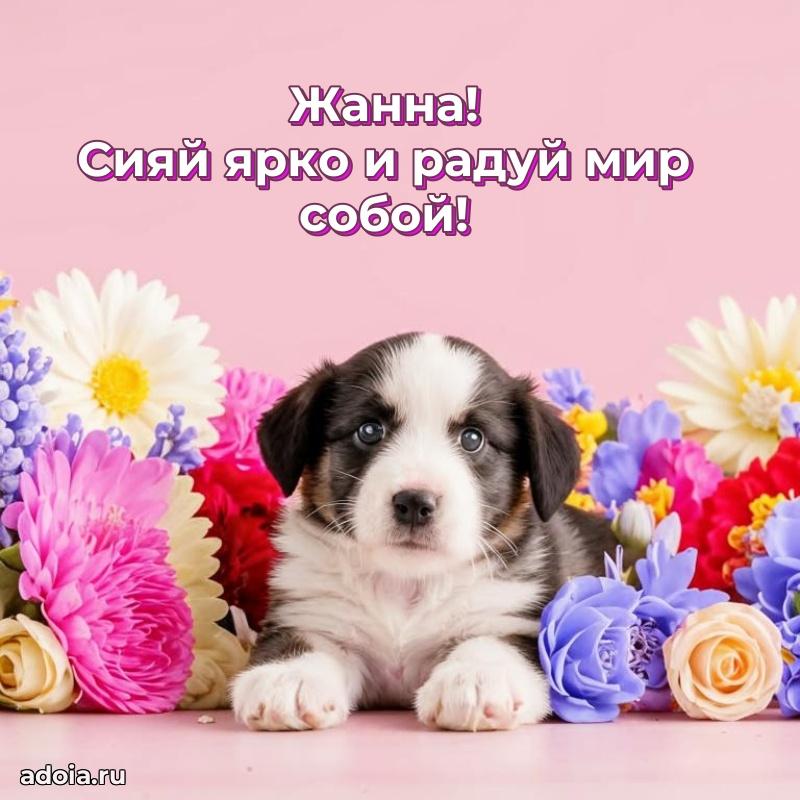 Новые открытки с днем рождения праздничные Жанне