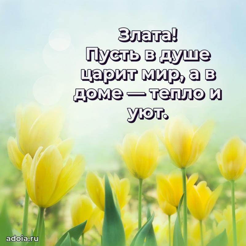 Открытка с пожеланиями Злате для ватсапа